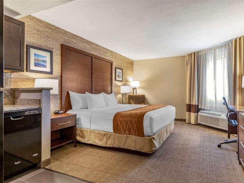 Comfort Inn Ludington Near Us-10 Zewnętrze zdjęcie