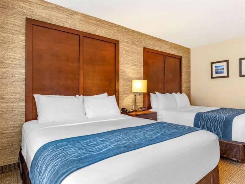 Comfort Inn Ludington Near Us-10 Zewnętrze zdjęcie